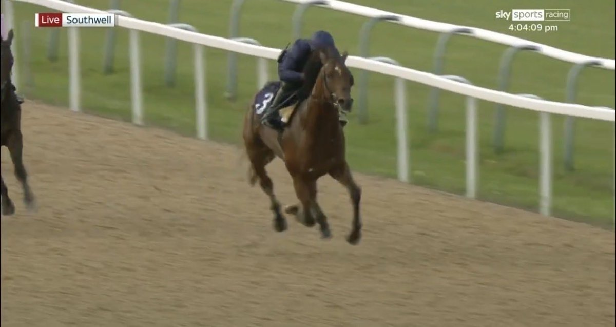 Galloping Guidance tweet media