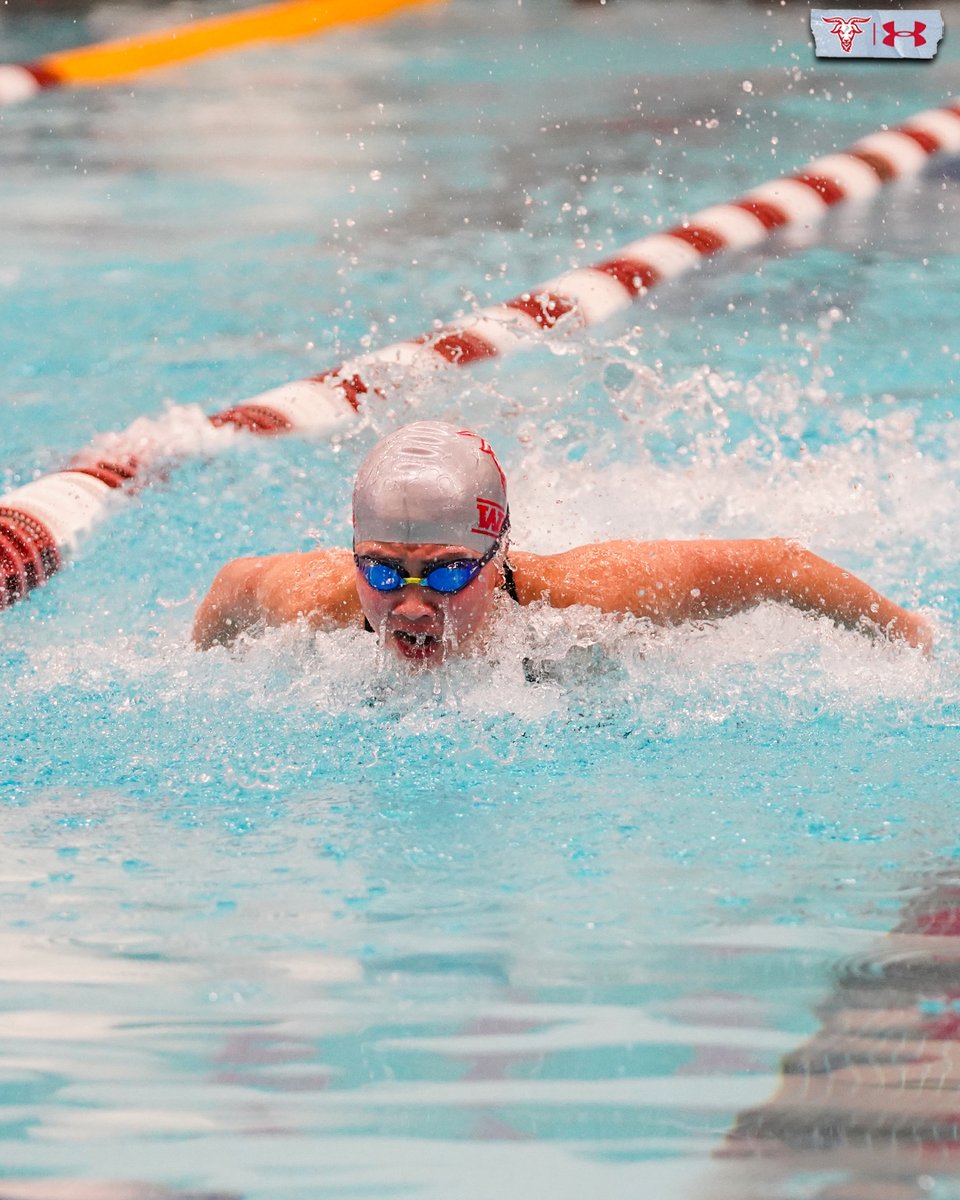 WPI Athletics tweet media
