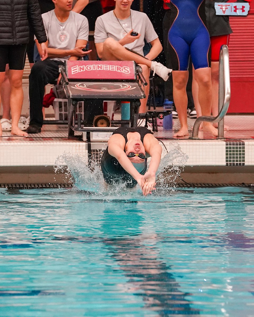 WPI Athletics tweet media