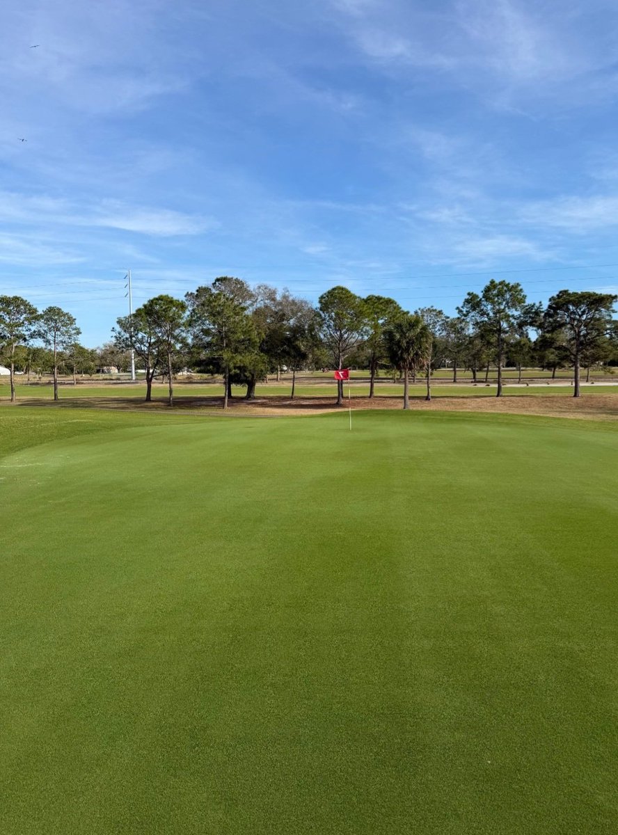 turfmonkeyboy's tweet photo. My favorite muni. I am pretty sure you can see these greens from space. #DATAMATTAS https://t.co/CDKXRkaMsK