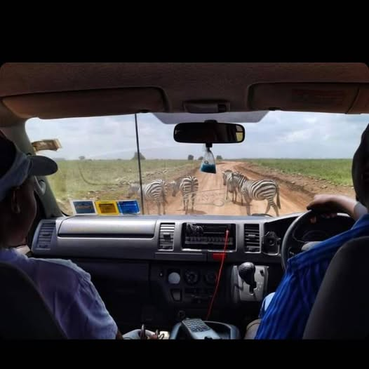 Satima Expeditions And Events tweet media