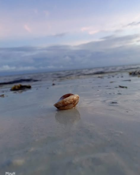 Satima Expeditions And Events tweet media