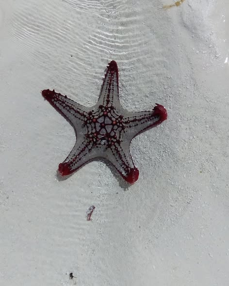 Satima Expeditions And Events tweet media