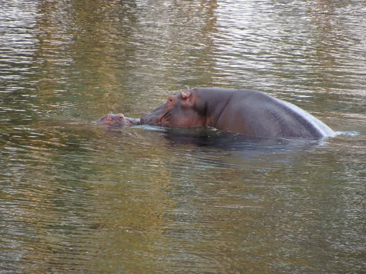 Satima Expeditions And Events tweet media