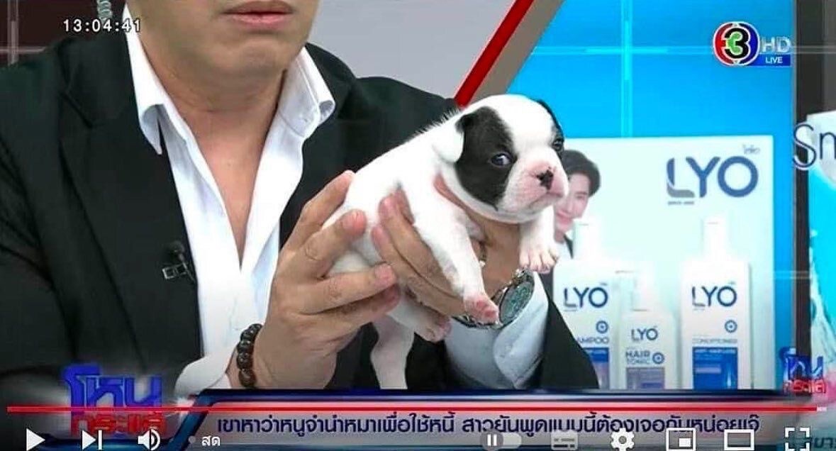 B ☁️ tweet media