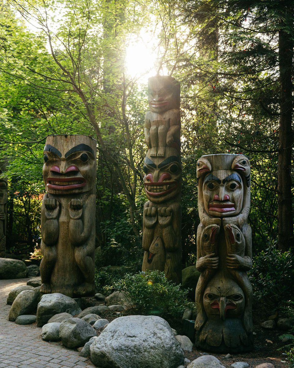 Capilano Suspension Bridge Park tweet media