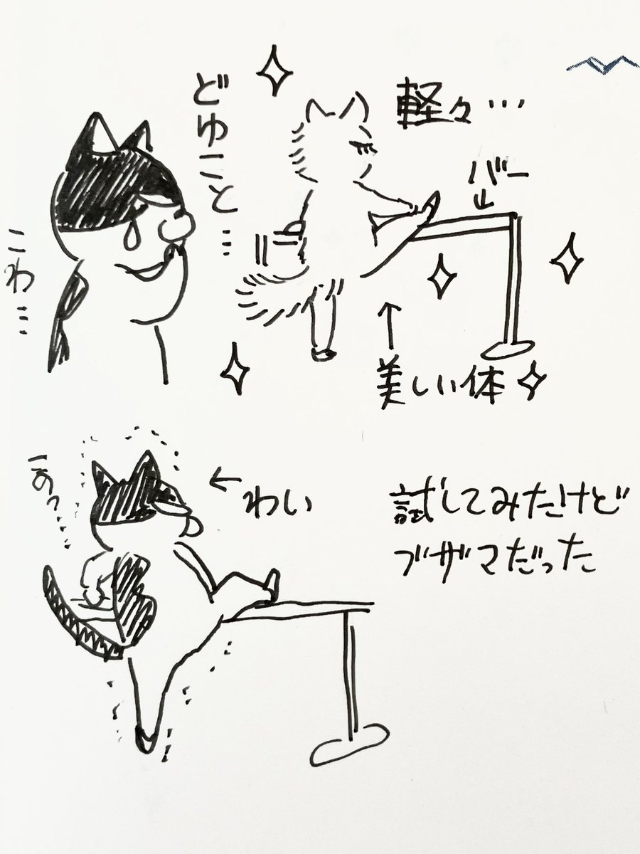 おはようございます☀連休初日の土曜日❣️始まったと思った新宿小田急百貨店7階で開催中のねこ展は早くも6日目。今日から暖かいようなので新宿までおでかけしてみま鮮花?

明日明後日はお出かけ予定でバレエレッスンに行けないので、ますますカチカチになりそう。 