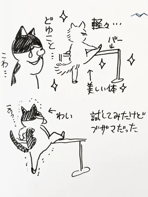 おはようございます☀連休初日の土曜日❣️始まったと思った新宿小田急百貨店7階で開催中のねこ展は早くも6日目。今日から暖かいようなので新宿までおでかけしてみま鮮花?

明日明後日はお出かけ予定でバレエレッスンに行けないので、ますますカチカチになりそう。 