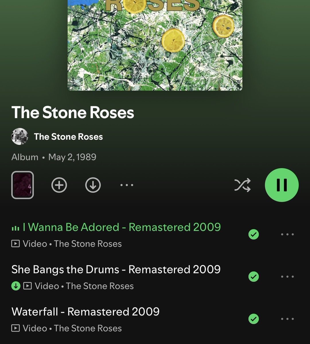 joe colly tweet media