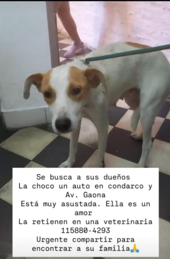 Me ayudan a compartir mil gracias