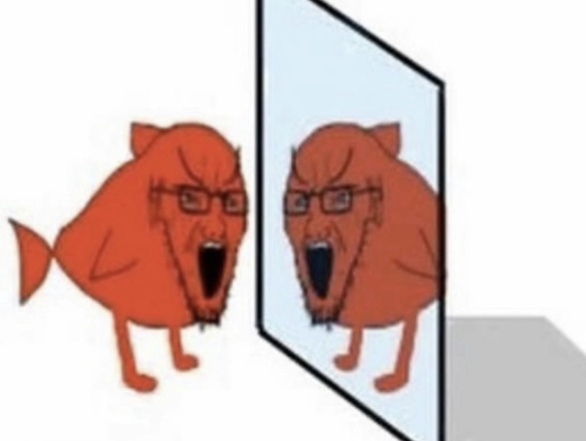 fish🐟 tweet media