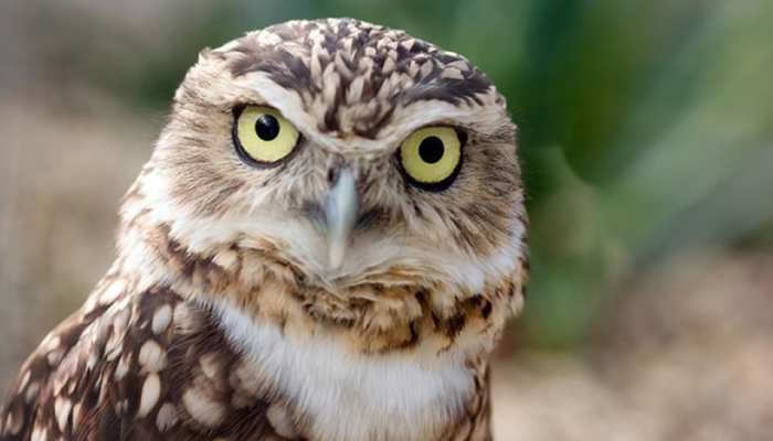 روزے دارو اٹھ جاؤ سحری کا وقت ہو گیا ہے