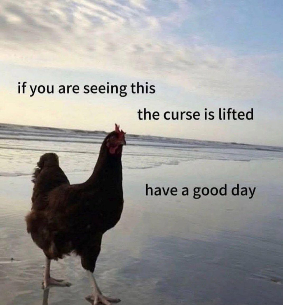 no context memes (@weirddalle) on Twitter photo 