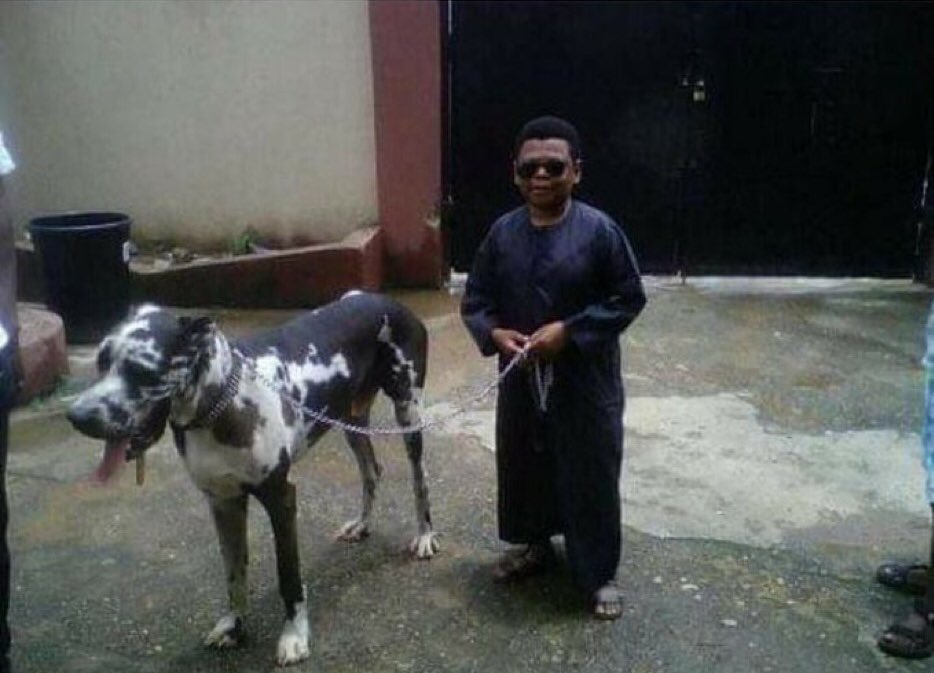 18m Views tweet media