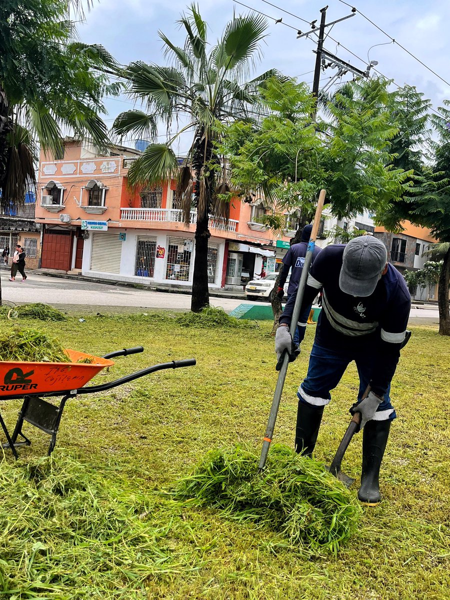 CHONILLOec's tweet photo. Seguimos trabajando por espacios dignos para nuestra gente. Realizamos tareas de poda y desbroce de maleza en el parque lineal de Primavera 2, recuperando este importante punto de encuentro para la comunidad.

De esta manera, garantizamos áreas en óptimas condiciones para el entrenamiento, la recreación y la convivencia familiar.

#TransformaciónConResultados