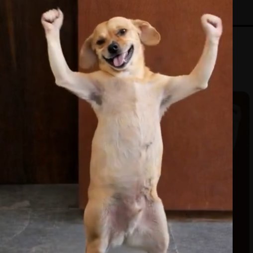 Active like a thief😆😆