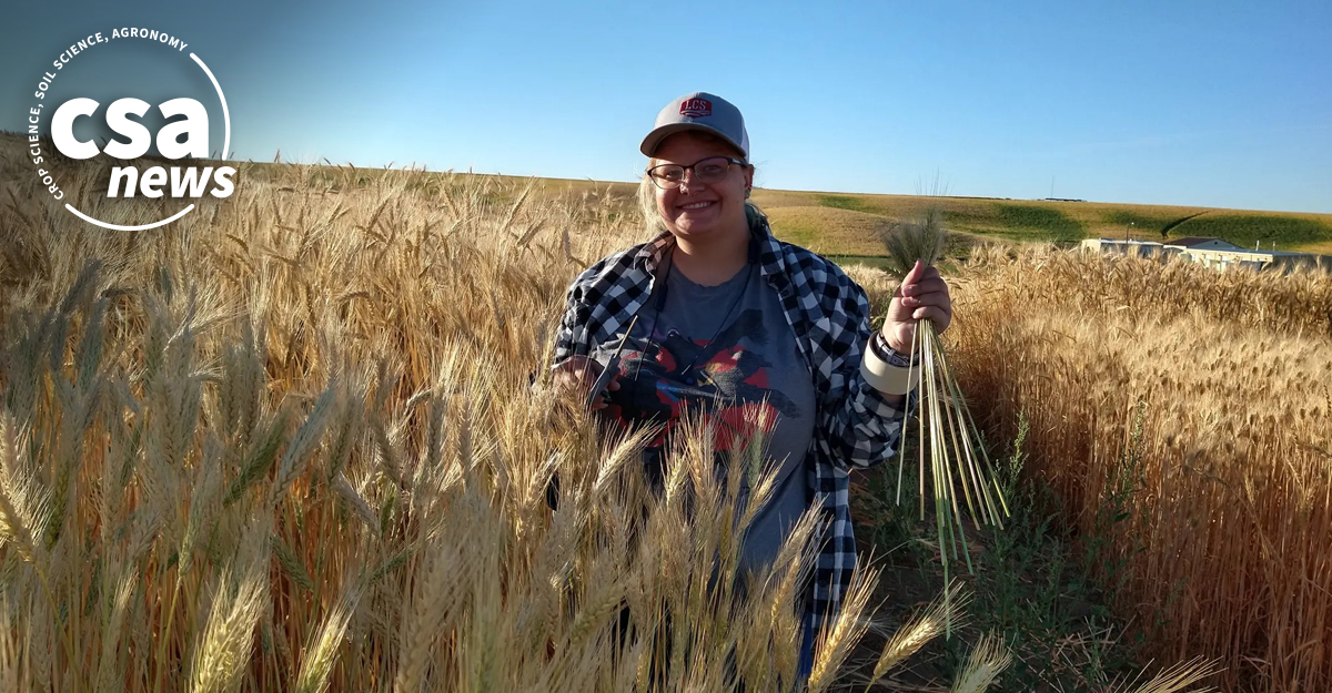 ASA_CSSA_SSSA's tweet photo. Rain before harvest can ruin a wheat crop, but science is finding a way back!
Researchers have identified genetic markers that tackle preharvest sprouting & late maturity alpha-amylase for resilient crops:
https://t.co/QxNtlqa9wV
#AlphaAmylase #WheatGenetics https://t.co/FvP83m5om0
