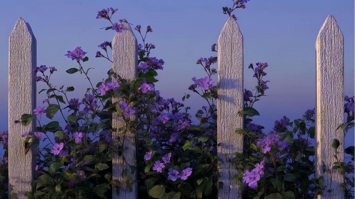 just violet mood tweet media