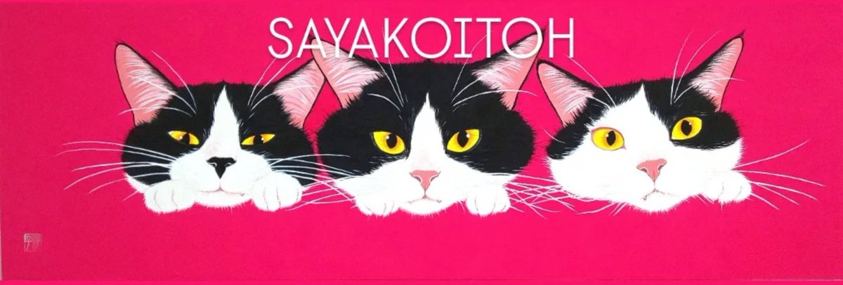 伊藤清子🌟 Sayako Itoh (@sayako1111) / Posts / X