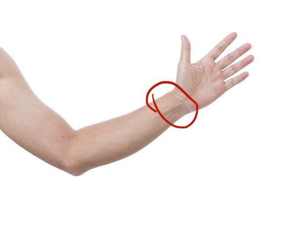 cecilia lisbon of shtwt 🇧🇷 tweet media