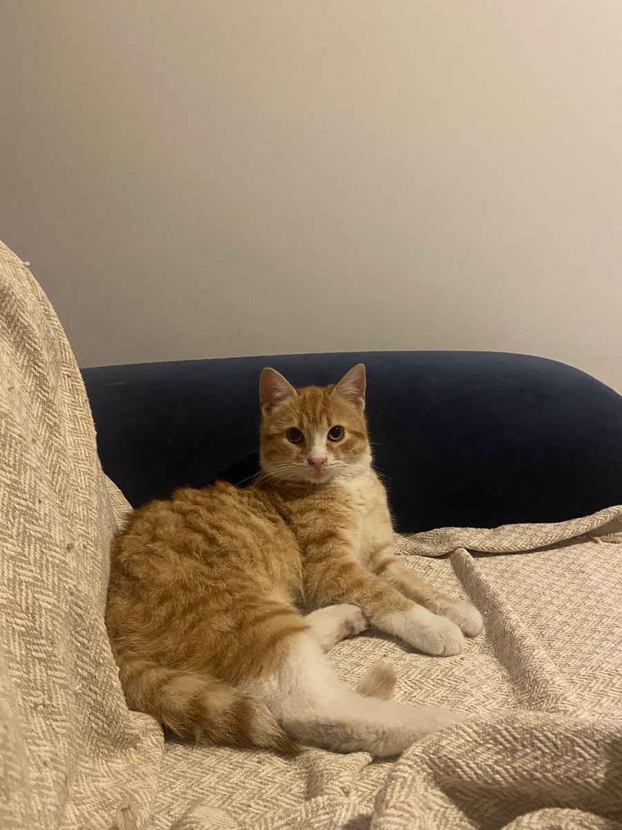 Hadi hemen büyü mısırlaşcaz daha hadiii