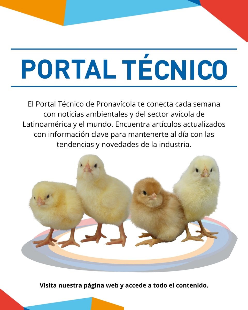 Conéctate con la información que impulsa el sector y mantente al día con las últimas novedades. Ingresa aquí: pronavicola.com/portal-tecnico/