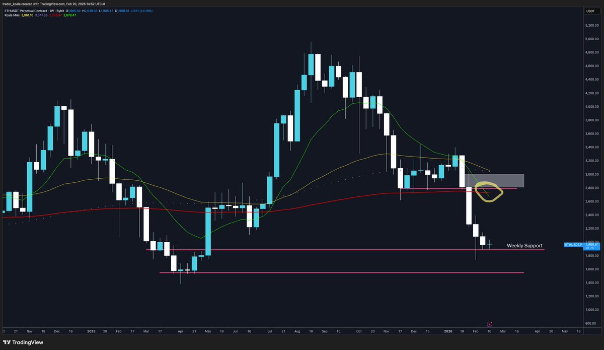 Trader Koala tweet media