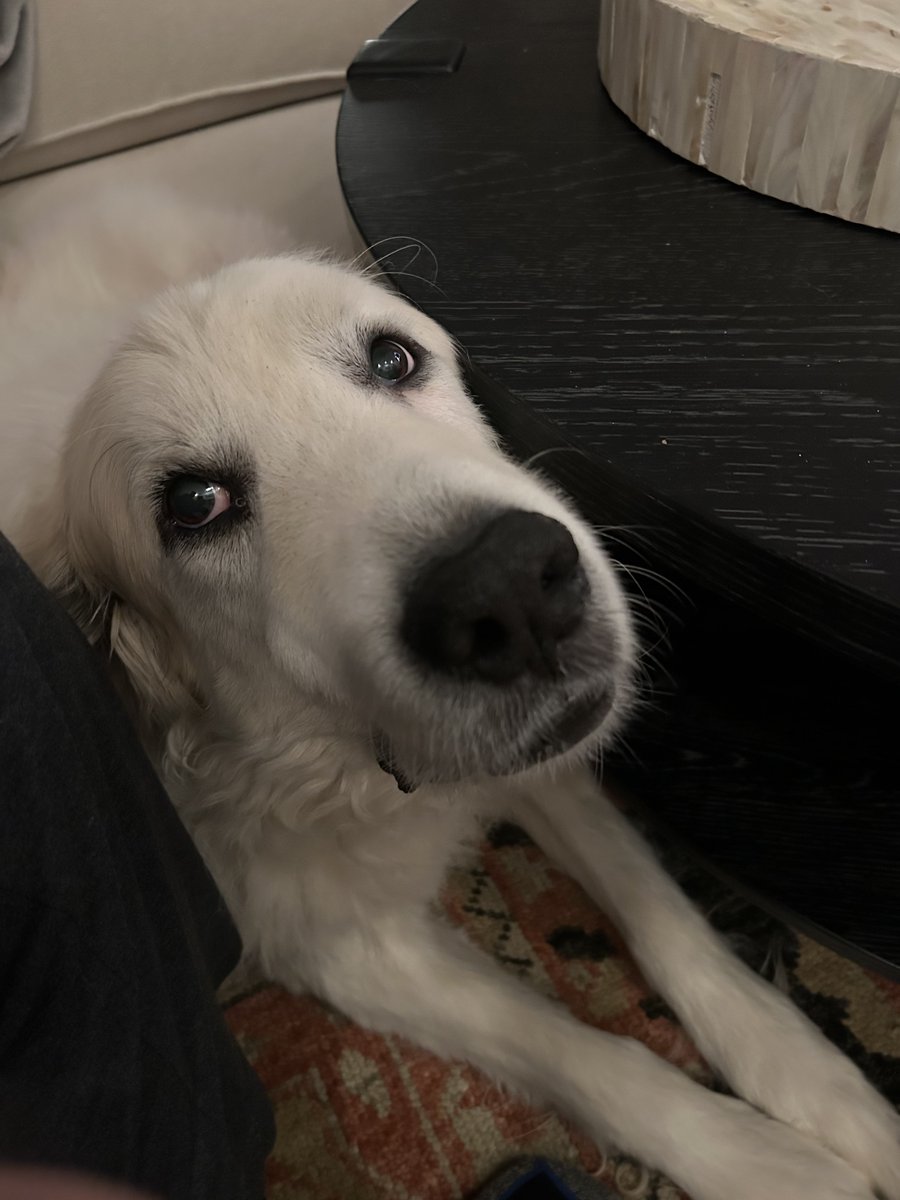 Marian Jordan Sassi tweet media