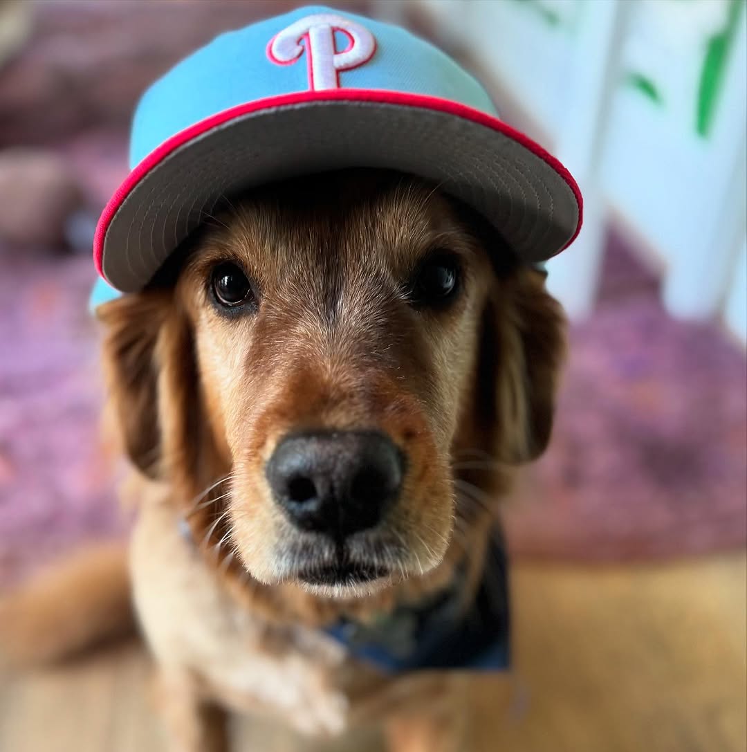 Betty says "Let's Go, Phillies!"