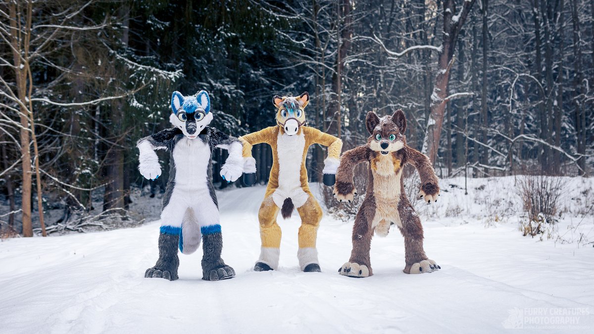 Johnny Colt tweet media