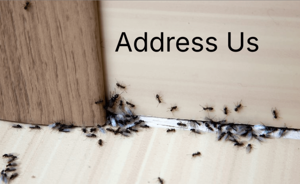 M Y . O S H I . I N . B I O (@___727__) on Twitter photo 