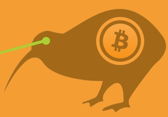 Bitkiwi tweet media