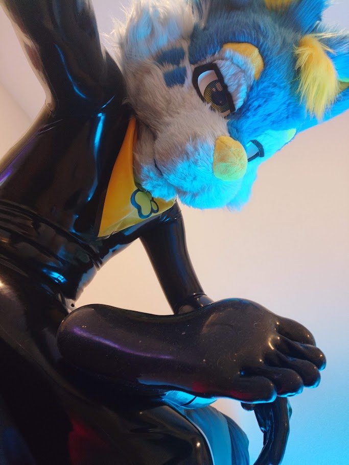 MidnightWerewolf tweet media