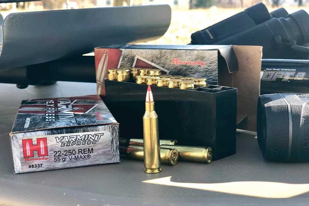 Game & Fish tweet media