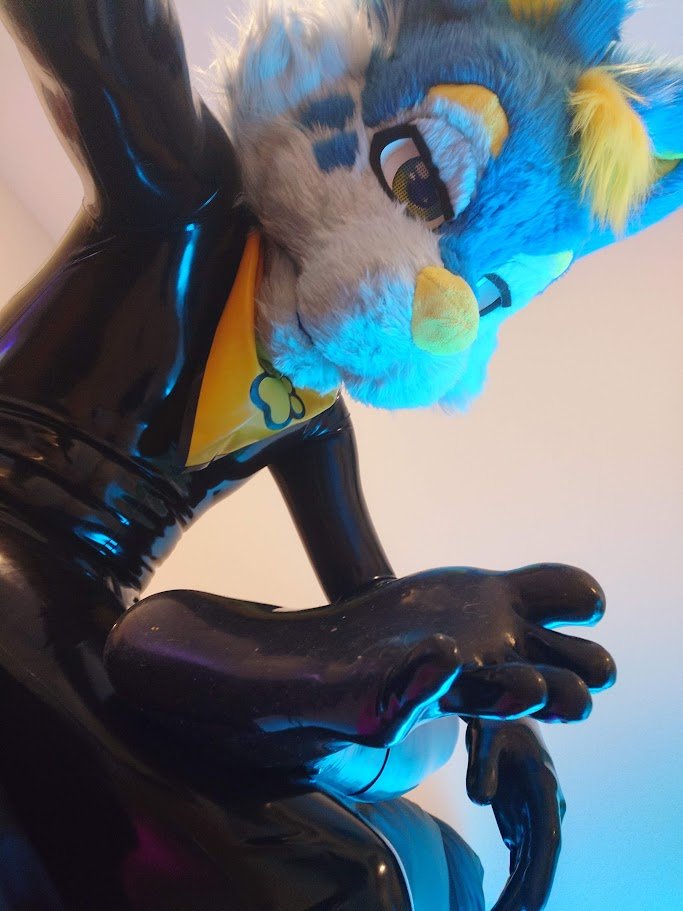 MidnightWerewolf tweet media