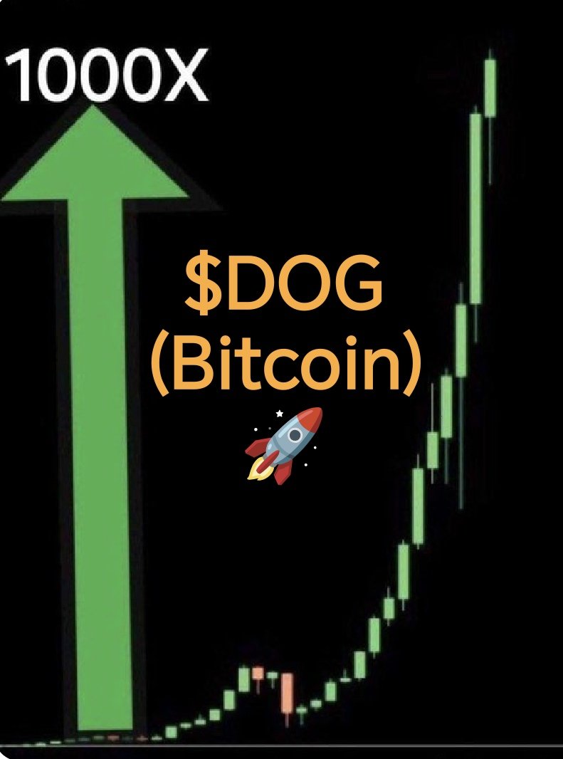 Believe in the process. $DOG 🚀