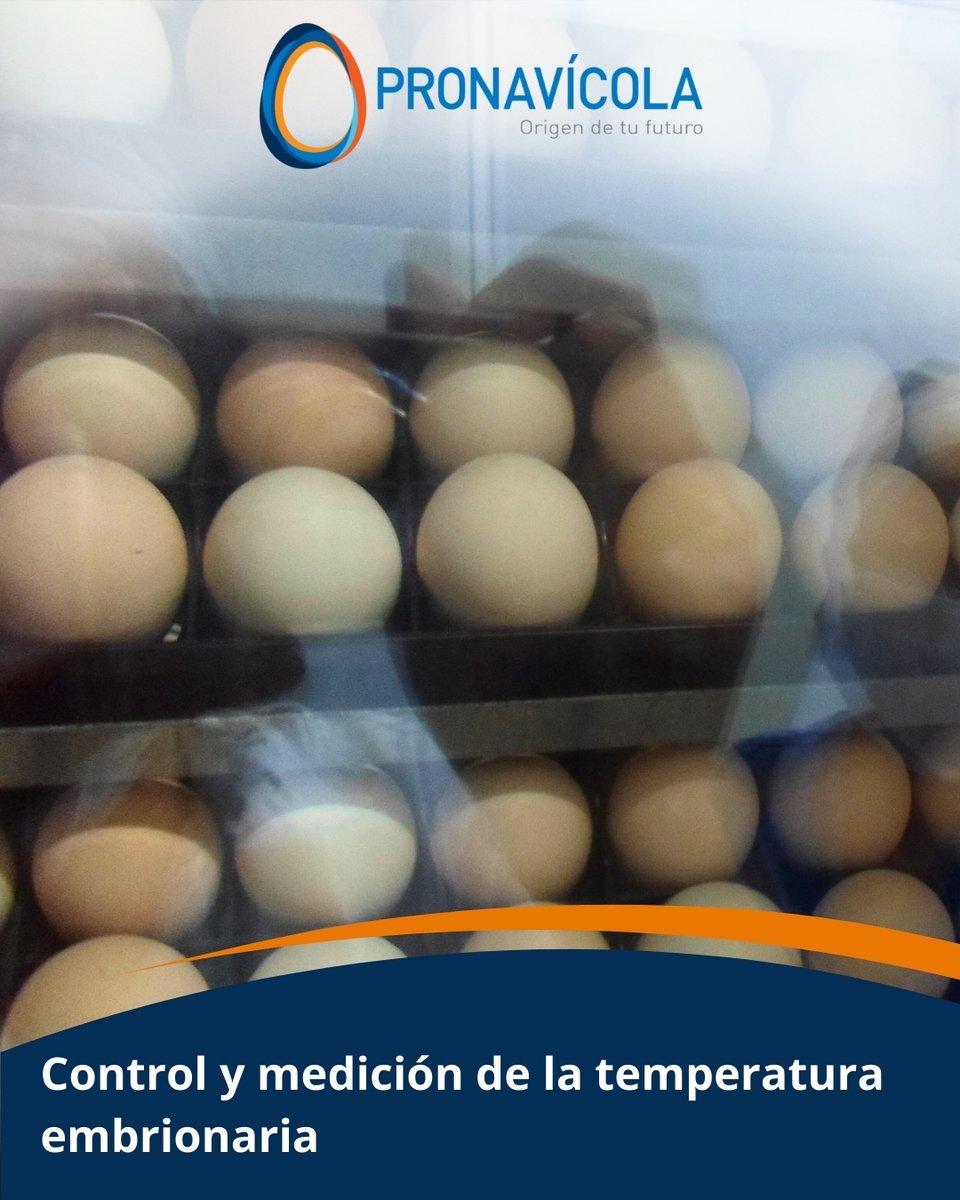 Control y medición de la temperatura embrionaria.

Amplíe la información aquí: goo.su/rgV4gGV