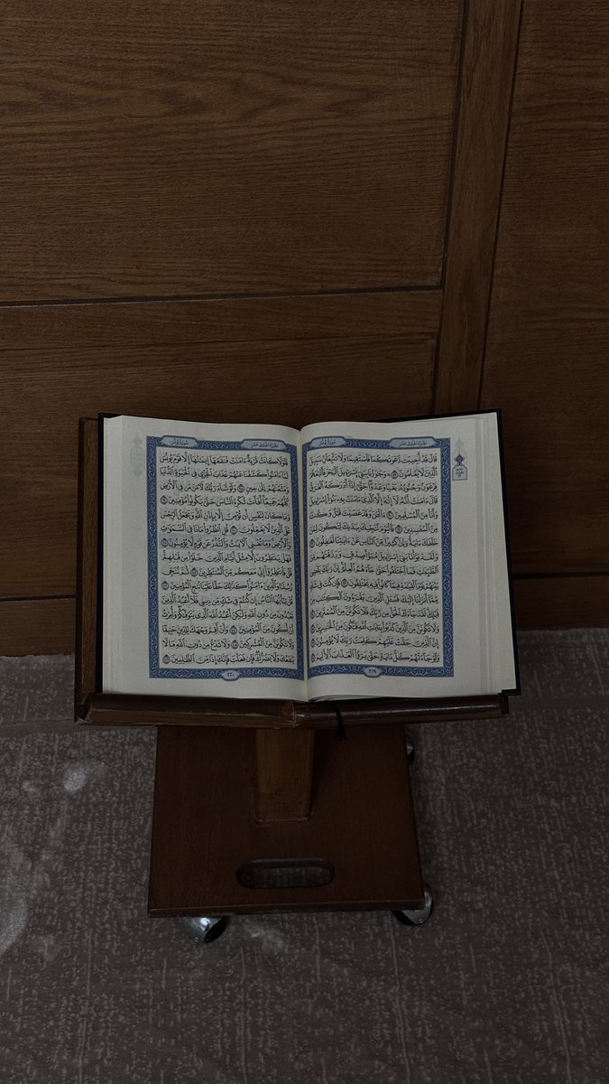 154Figen9z tweet media