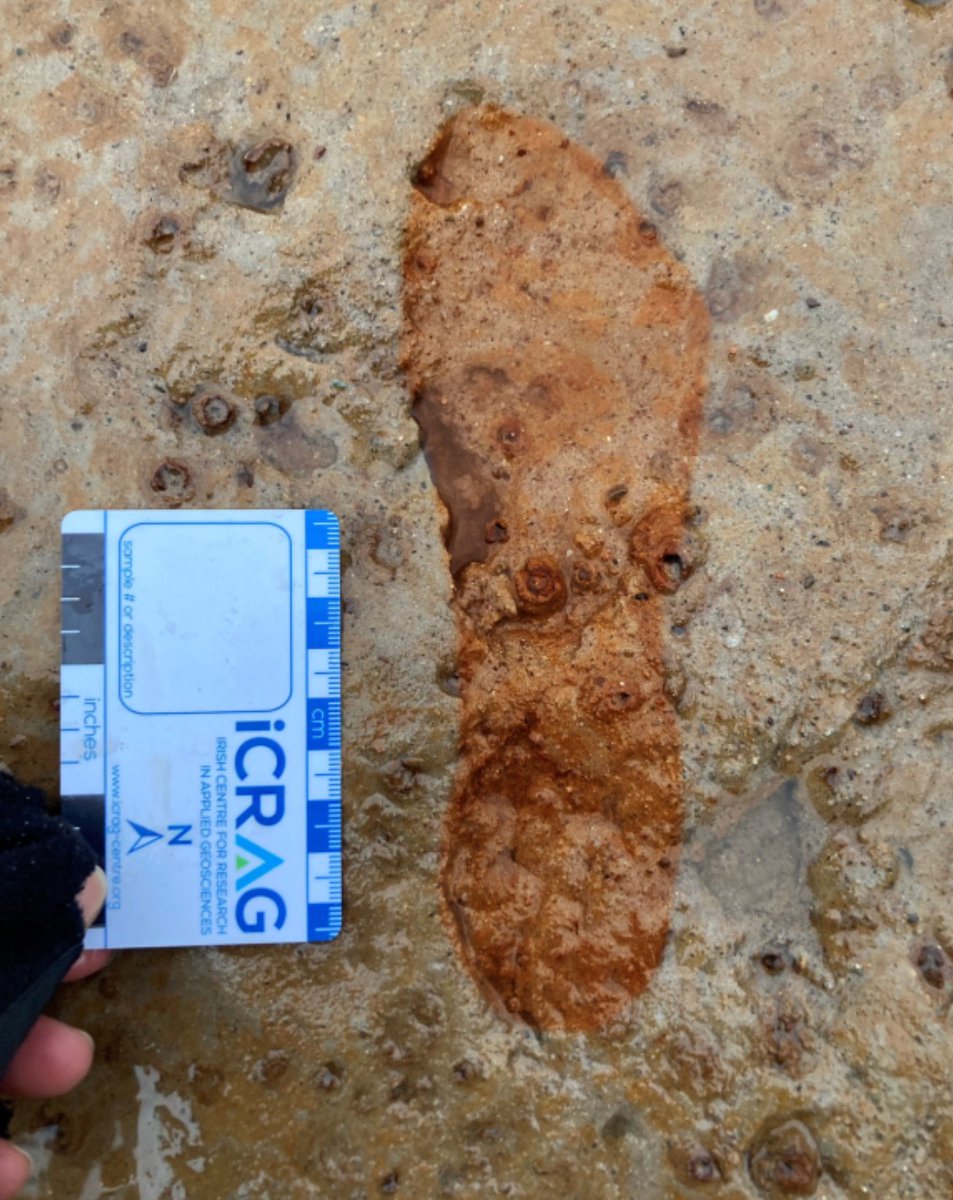 Archaeology Magazine tweet media