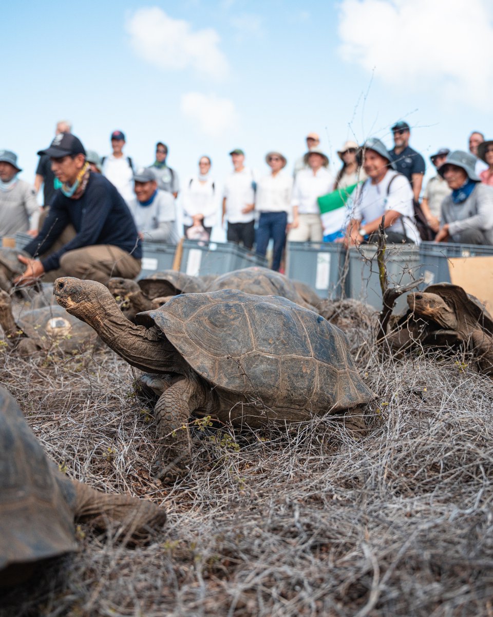 Lindblad Expeditions tweet media