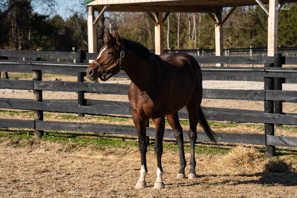 Breakway Farm tweet media