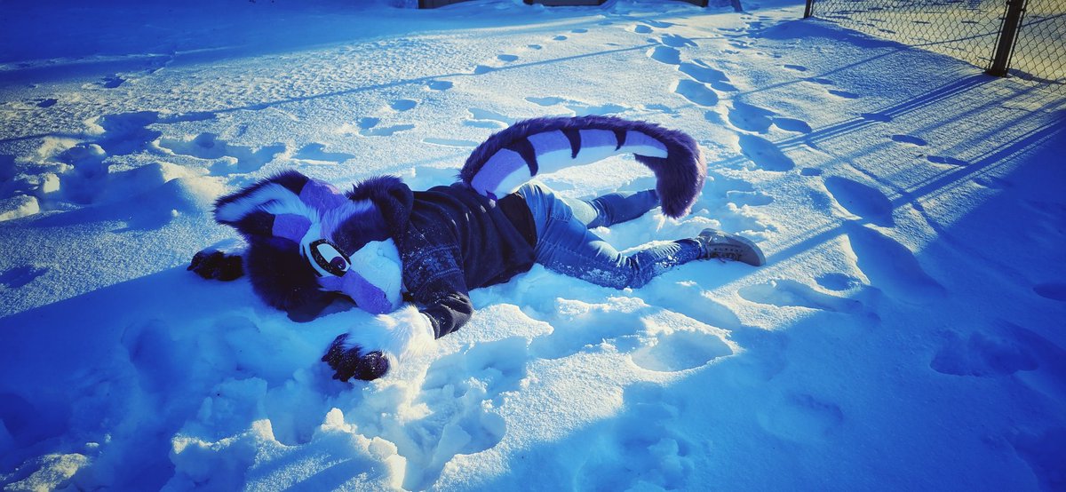 kodarose__'s tweet photo. Its #fursuitfriday 🥰 Ive never introduced Stark here. He was a head by @Rockyourfur in Dec. of 2021 💜 Paws and Tail were made in 2025 by kiteerycreations via IG!

📸: CinderPaw__ 

🔧
.
.
.
#furry #fursuit #fursuiting #fursona #furryphotography https://t.co/nICI176oCd