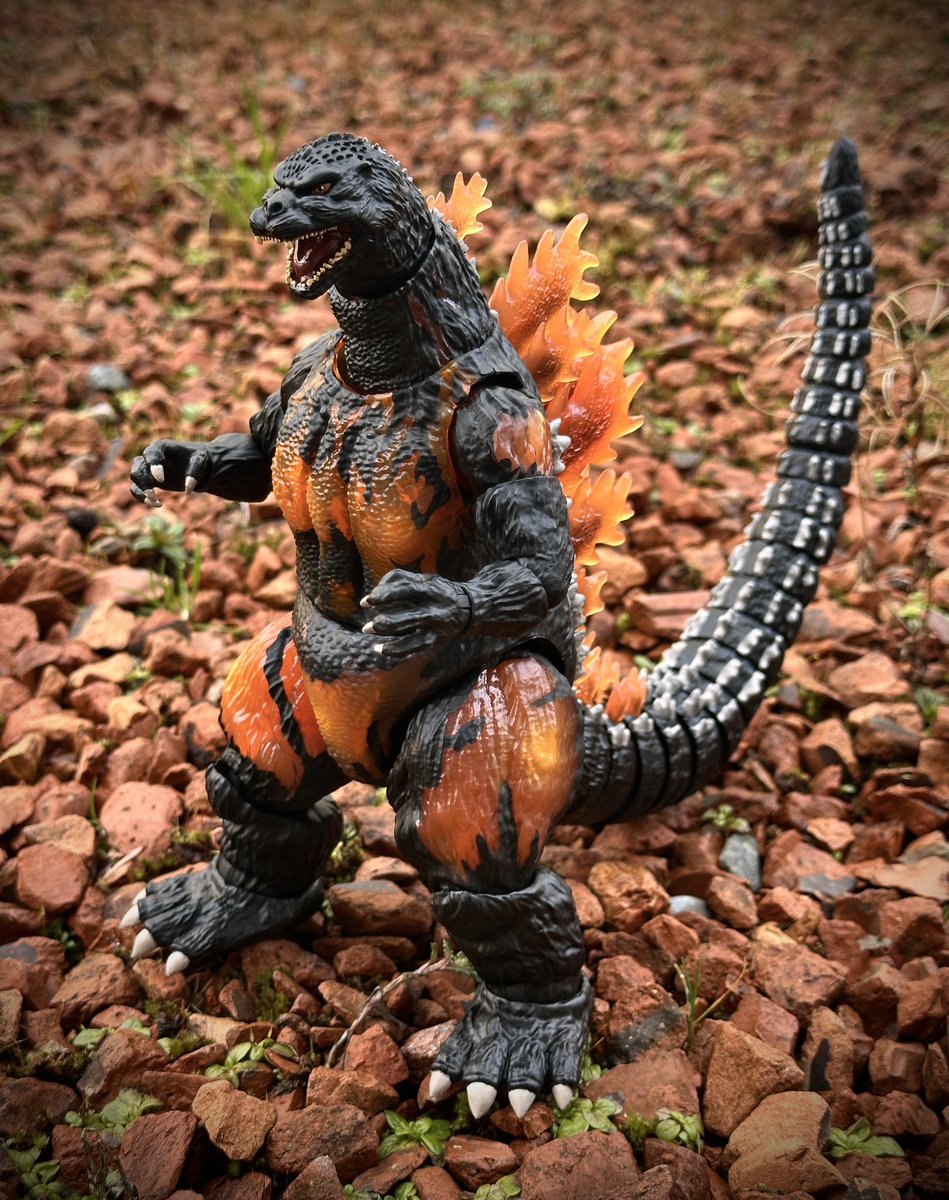 みなさんおはようございます😃