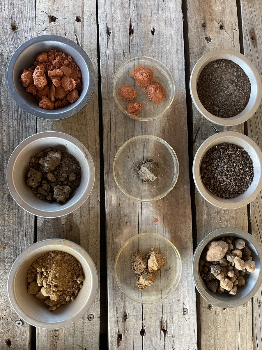 Bindi Isbister tweet media