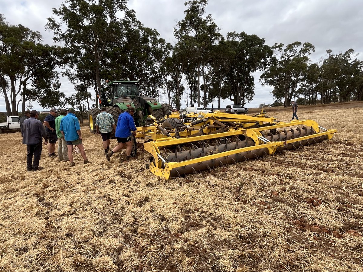 Bindi Isbister tweet media