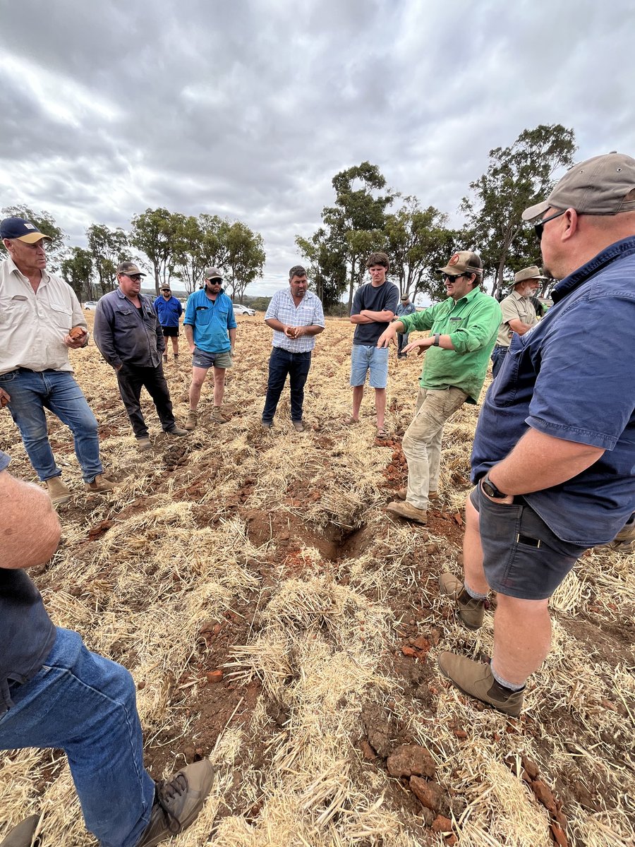 Bindi Isbister tweet media