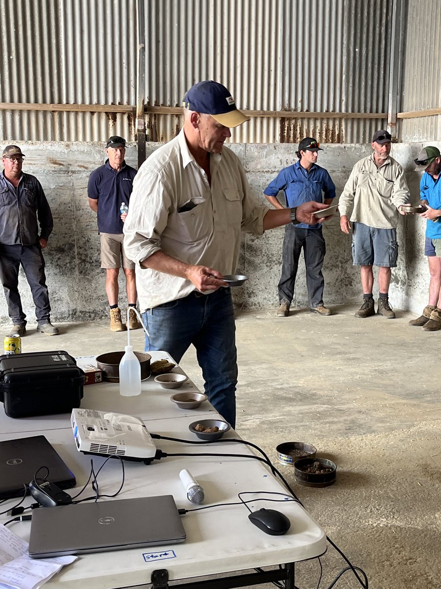 Bindi Isbister tweet media