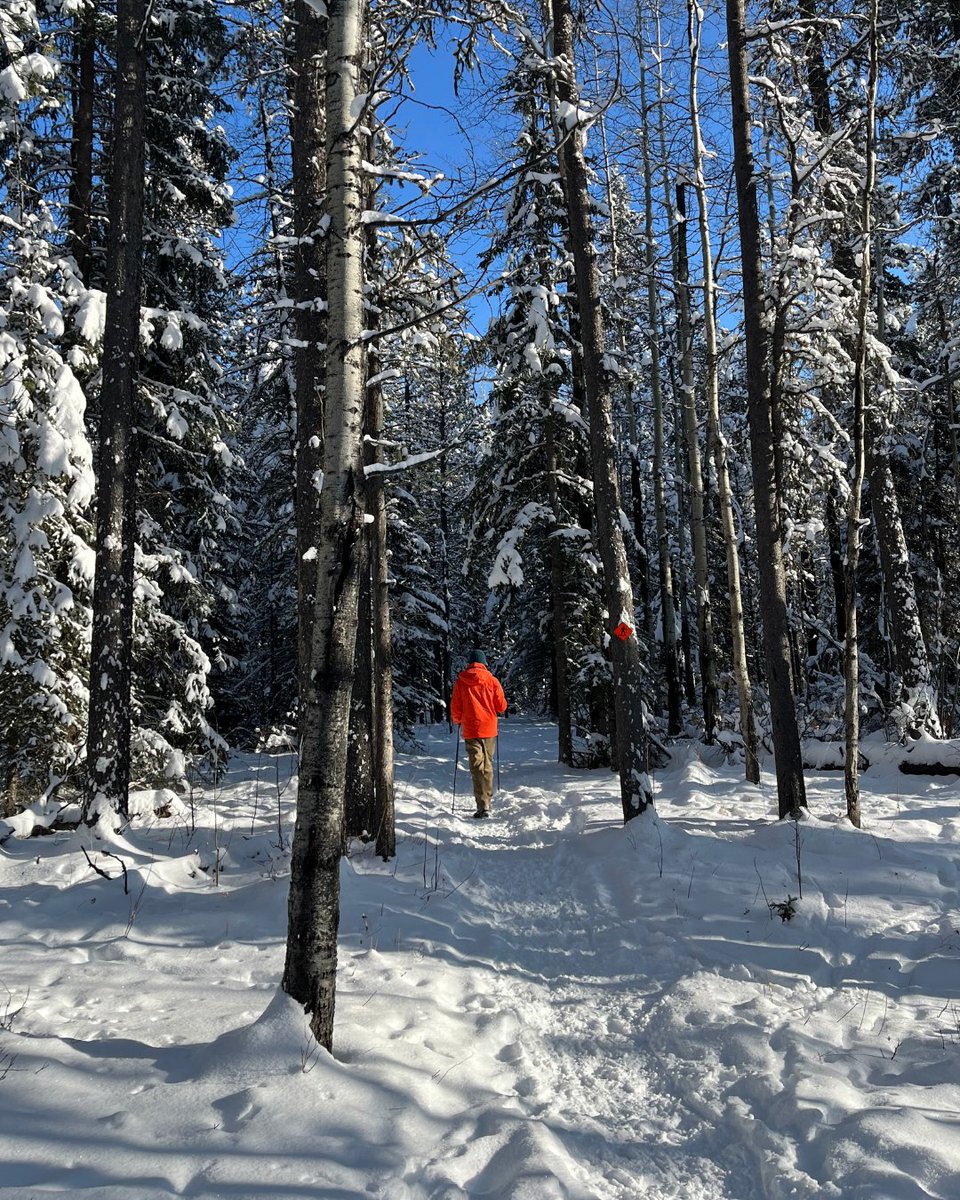 Alberta Parks tweet media