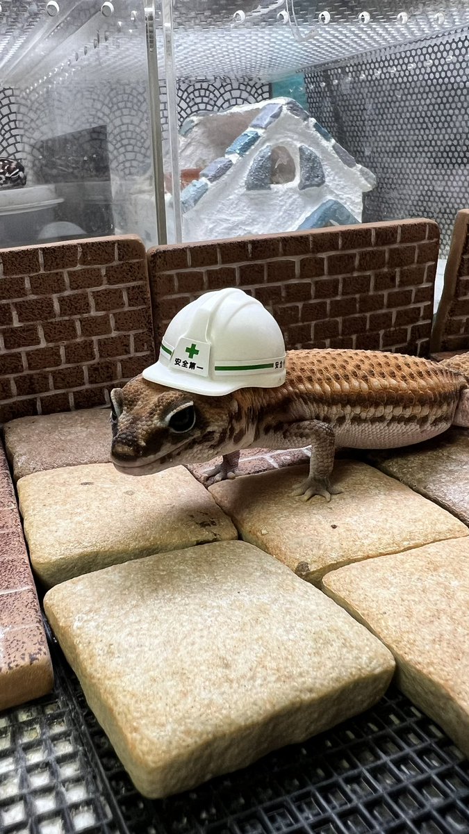 takashi (@kodamatakashi11) / Posts / X