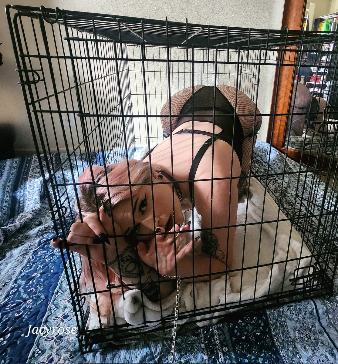 Pet me